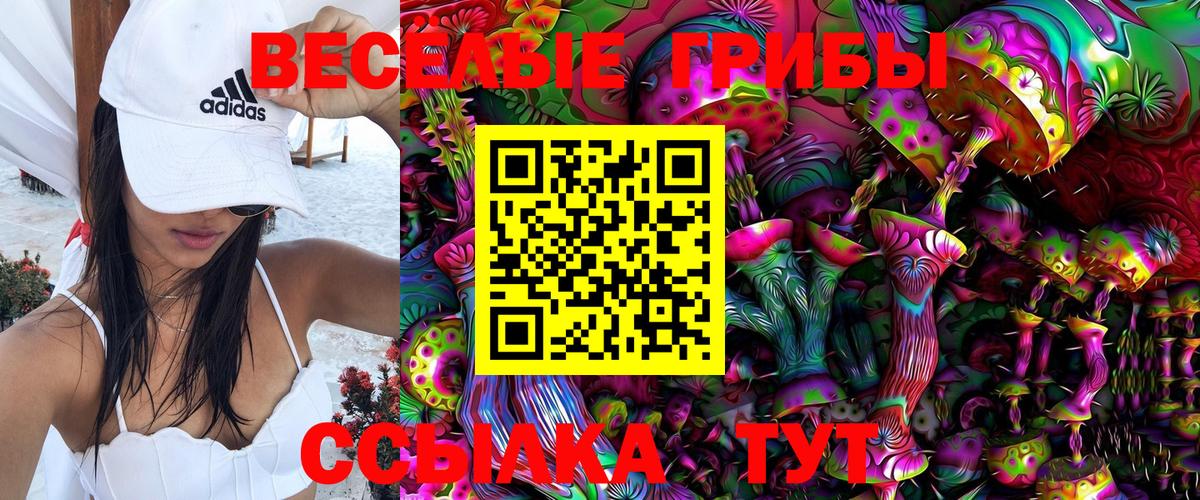 Волжск  дарнет шоп  Вход с VPN  Галлюциногенные грибы Psilocybine cubensis 