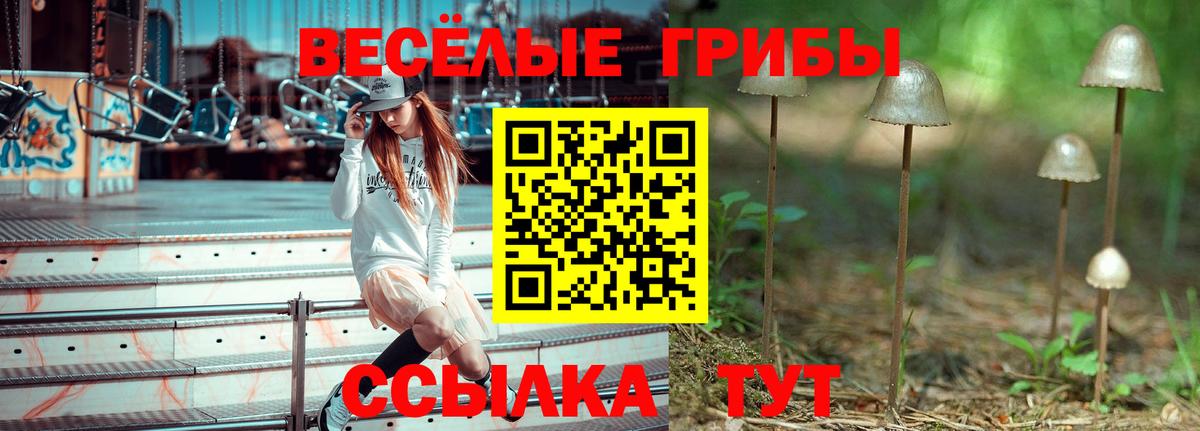 Галлюциногенные грибы Cubensis Волжск